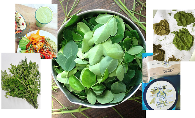 �������: ����� ��� ����-������� �� ������