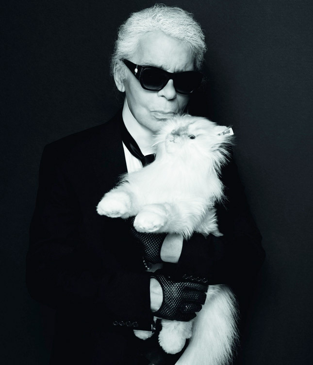 ���� ���������� ������ ���������� ������ ������