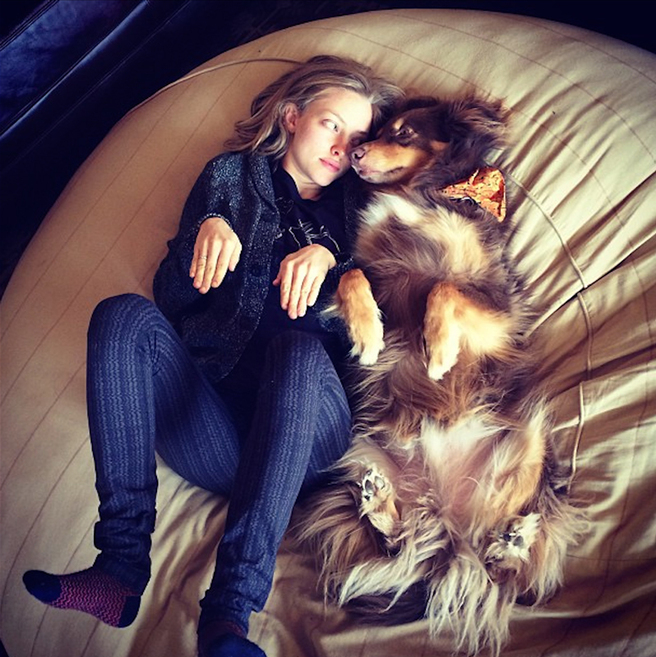 ������� ��� �������������