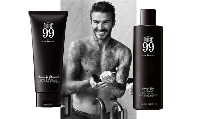 ����� ������ ������ ����� ������� ���������