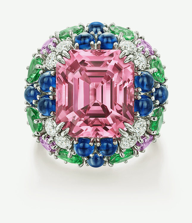   :    Harry Winston